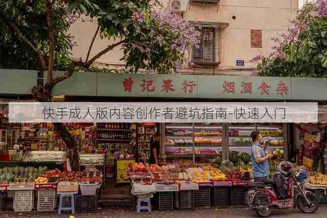 快手成人版内容创作者避坑指南-快速入门