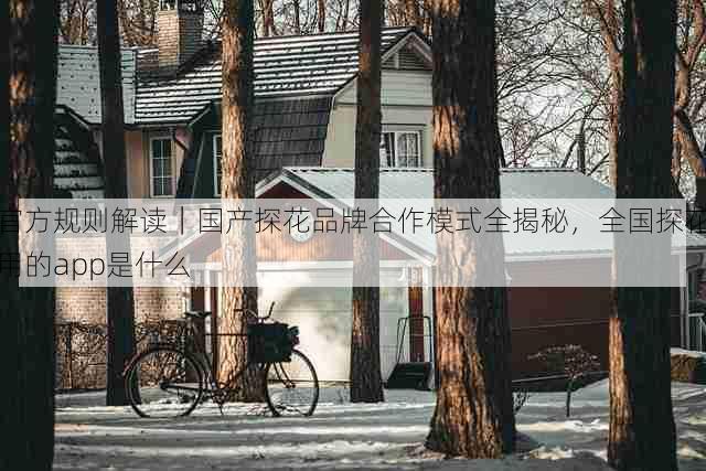 官方规则解读|国产探花品牌合作模式全揭秘,全国探花用的app是什么