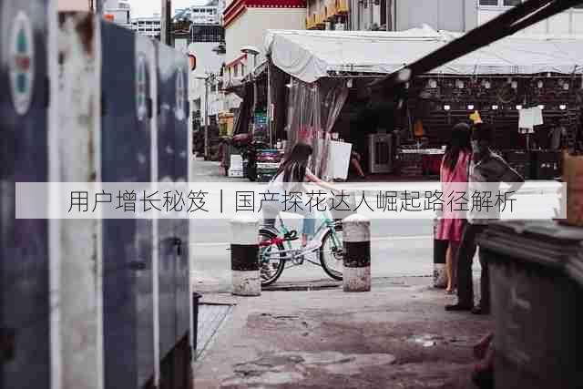 用户增长秘笈|国产探花达人崛起路径解析