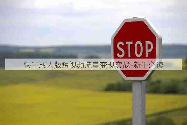 快手成人版短视频流量变现实战-新手必读