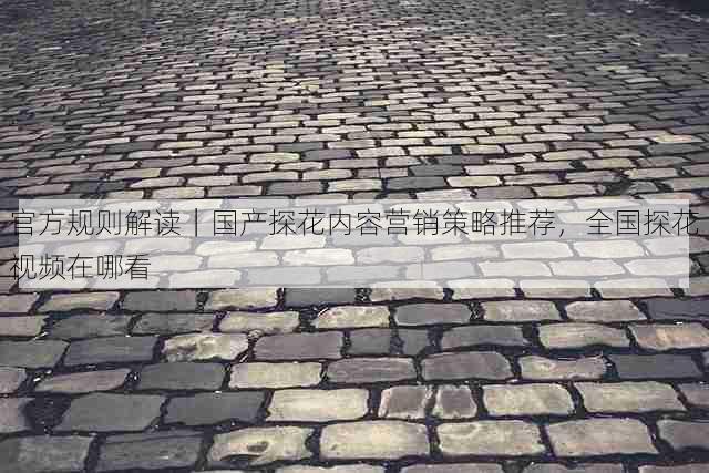 官方规则解读|国产探花内容营销策略推荐,全国探花视频在哪看