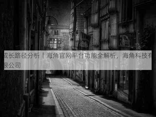 成长路径分析|海角官网平台功能全解析,海角科技有限公司