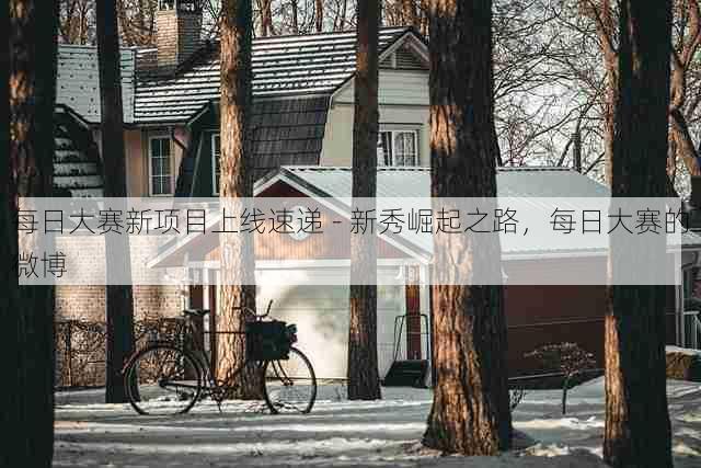 每日大赛新项目上线速递 - 新秀崛起之路,每日大赛的微博