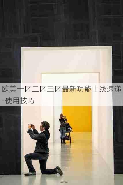 欧美一区二区三区最新功能上线速递-使用技巧