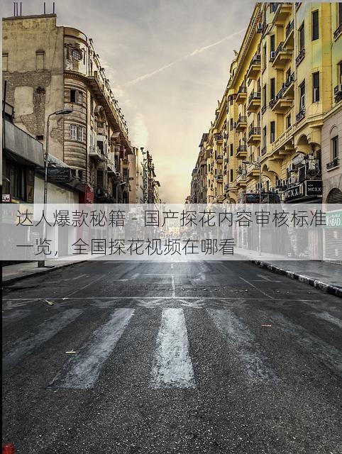 达人爆款秘籍 - 国产探花内容审核标准一览，全国探花视频在哪看