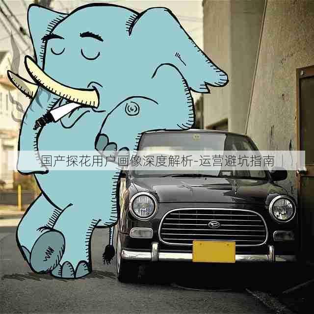 国产探花用户画像深度解析-运营避坑指南