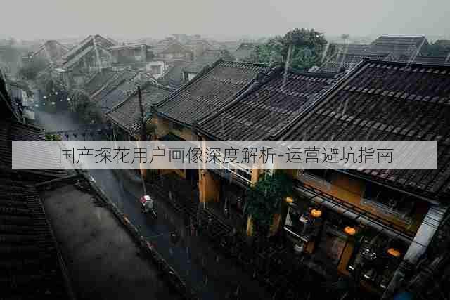 国产探花用户画像深度解析-运营避坑指南