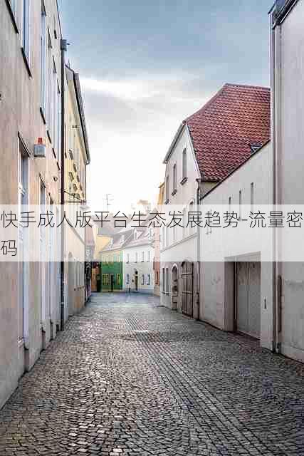 快手成人版平台生态发展趋势-流量密码