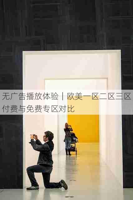 无广告播放体验|欧美一区二区三区付费与免费专区对比