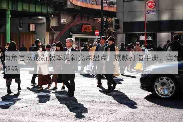 海角官网最新版本更新亮点盘点 - 爆款打造手册，海角鹡鸰