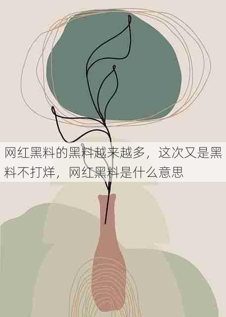 网红黑料的黑料越来越多,这次又是黑料不打烊,网红黑料是什么意思