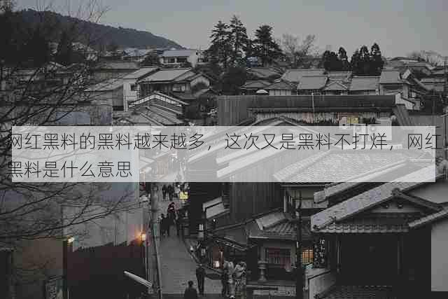 网红黑料的黑料越来越多,这次又是黑料不打烊,网红黑料是什么意思