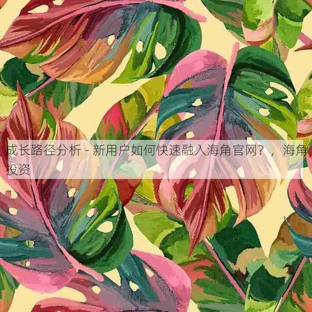 成长路径分析 - 新用户如何快速融入海角官网？，海角投资