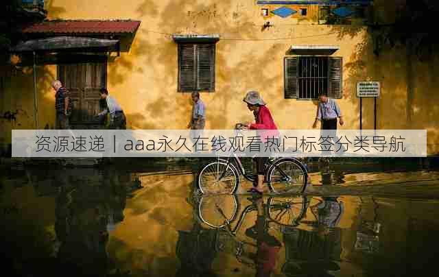 资源速递|aaa永久在线观看热门标签分类导航