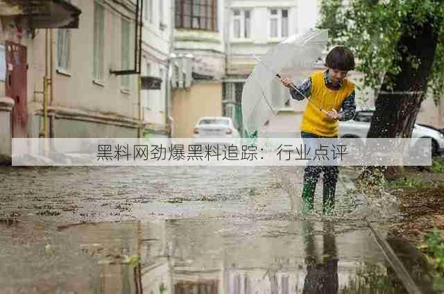 黑料网劲爆黑料追踪:行业点评