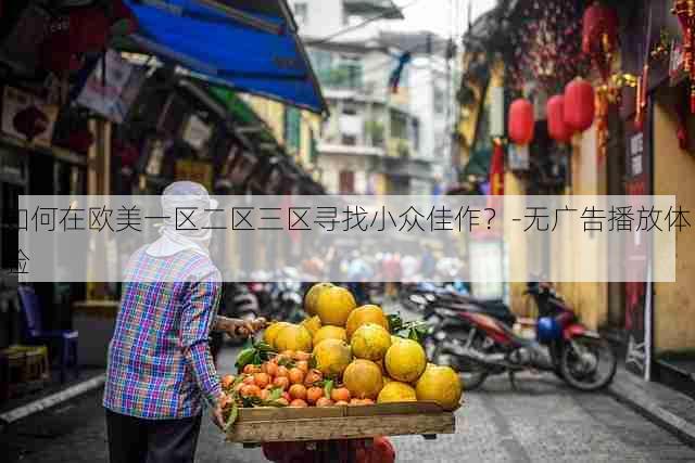 如何在欧美一区二区三区寻找小众佳作?-无广告播放体验
