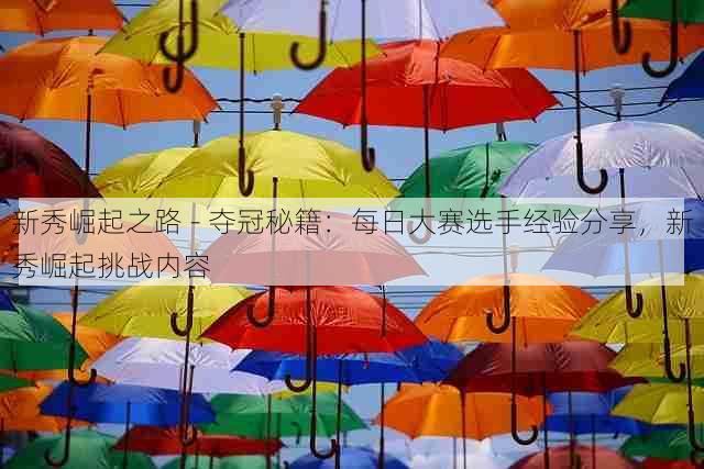 新秀崛起之路 - 夺冠秘籍:每日大赛选手经验分享,新秀崛起挑战内容