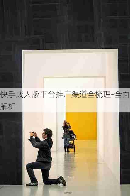 快手成人版平台推广渠道全梳理-全面解析