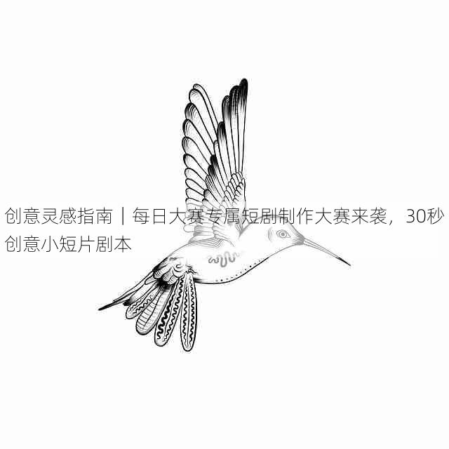 创意灵感指南｜每日大赛专属短剧制作大赛来袭，30秒创意小短片剧本