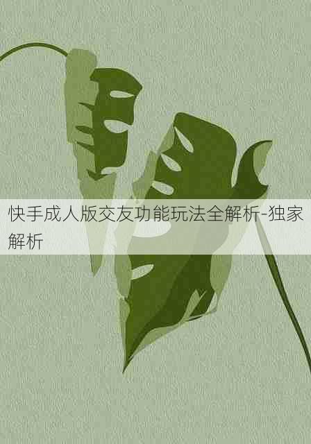 快手成人版交友功能玩法全解析-独家解析