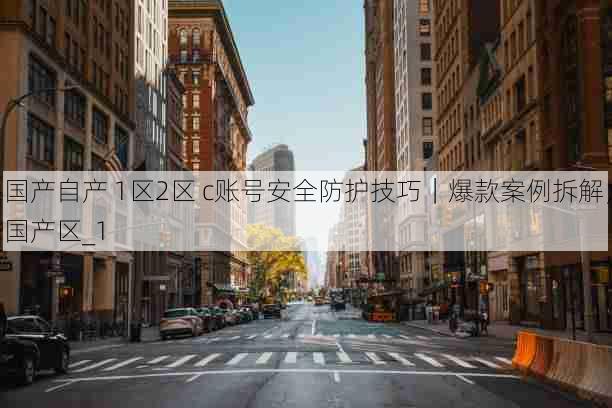 国产自产 1区2区 c账号安全防护技巧|爆款案例拆解,国产区_1